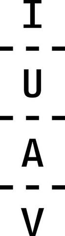 Logo IUAV
